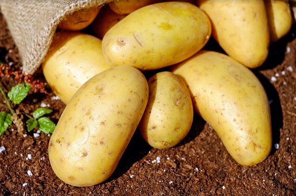 A vitaminok k&ouml;z&uuml;l C-vitamin, de a B vitamin csoportba tartoz&oacute;k is megtal&aacute;lhat&oacute;k a burgony&aacute;ban