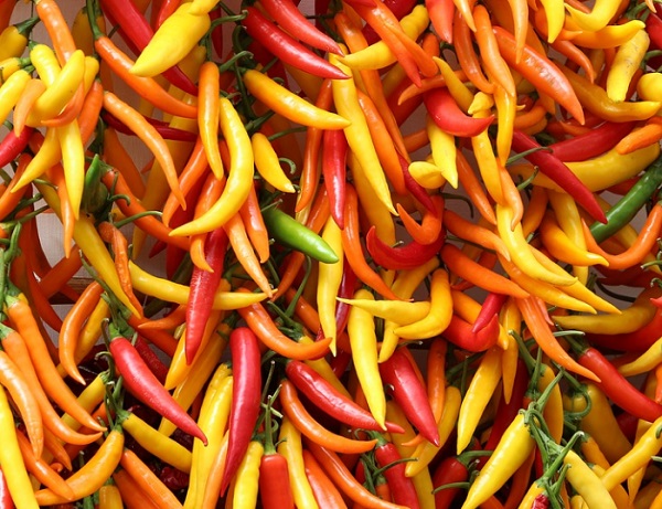 A chili fokozza a v&eacute;rbős&eacute;get, &eacute;l&eacute;nk&iacute;ti a v&eacute;rkering&eacute;st