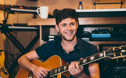 Niall Horan nem ér rá a szerelemre