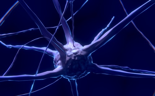 Mesterséges intelligencia - Emberi agyban látható mesterséges neuront fedeztek fel 
