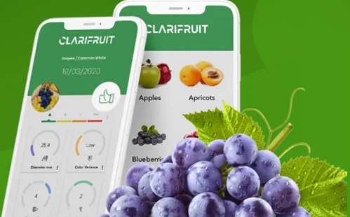 Mesterséges intelligencia - Érkezik a gyümölcs- és zöldségminőség-ellenőrző applikáció