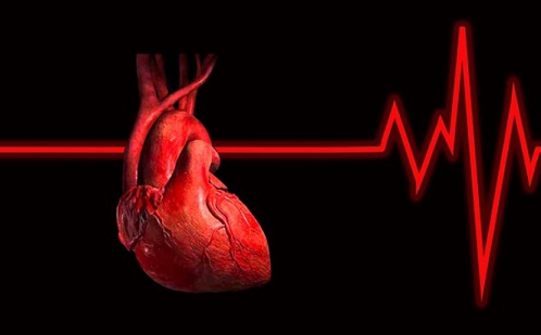 Szív- és érrendszeri betegségek előrejelzését segíti a mesterséges intelligencia