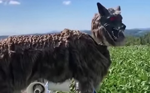 Rémisztő robotfarkasok őrzik a földet Japánban