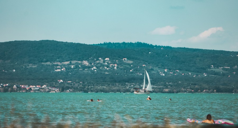 balaton_nyar_torzs