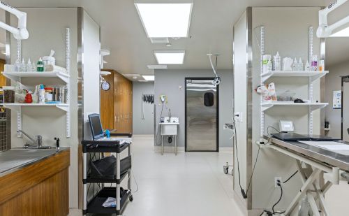 Ez a klinikai generatív MI 4 hét munkáját végzi el 1 hét alatt