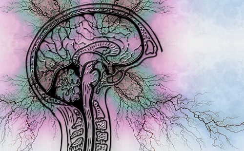 Gondolatolvasó chipet ültetett emberi agyba a Neuralink riválisa 