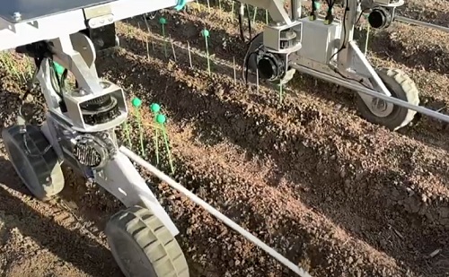 Videóval - Mesterséges intelligencia a kormány mögött: munkában az új napelemes gyomláló robot