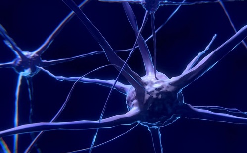 Egyetlen vérminta elég: több kognitív agyi betegséget kimutat a mesterséges intelligencia