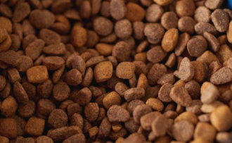 Okos megoldások a kisállatos szolgáltatóknak