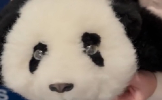 Leköt és óv is: mesterséges intelligencia alapú pandarobot készült időseknek